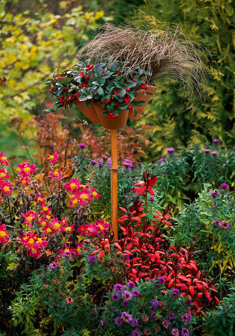 Pots on bar in autumnal bed