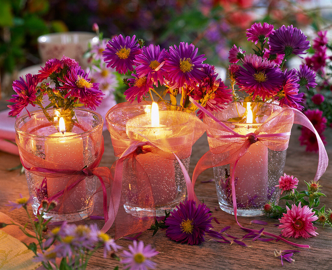 Windlichter in mundgeblasenen Gläsern dekoriert mit Aster (Herbstastern)