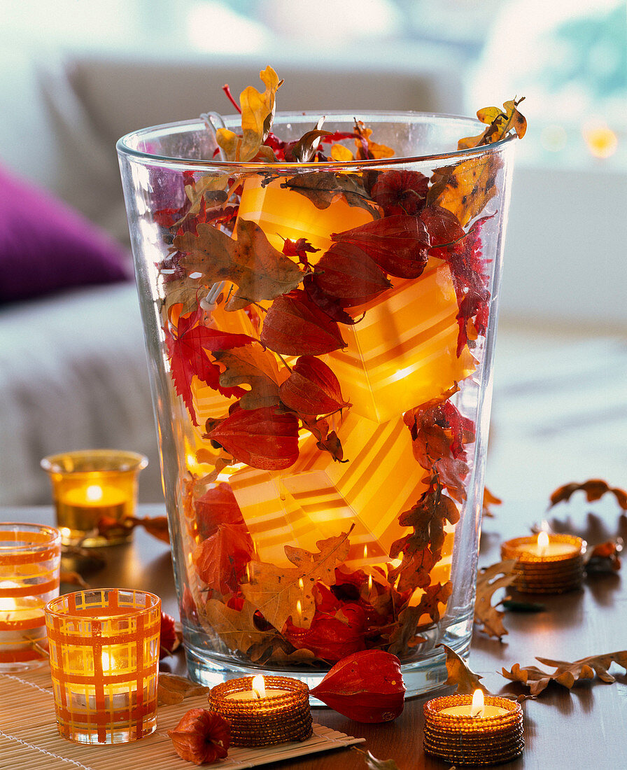 Glas gefüllt mit Physalis (Lampions), Herbstlaub von Quercus (Eiche)