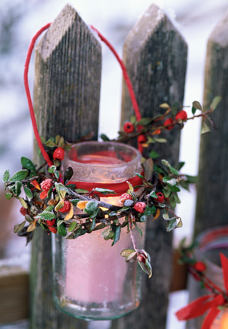 Lantern with wreath of Cotoneaster on the fence