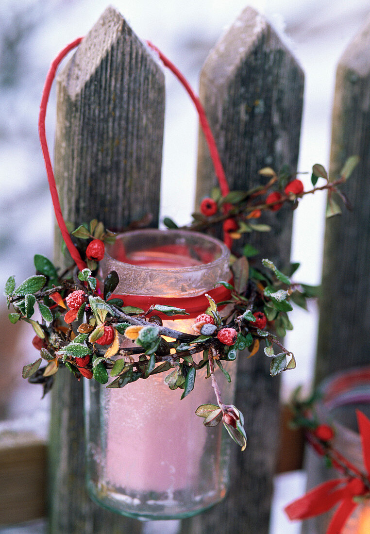 Windlicht mit Kranz aus Cotoneaster (Felsenmispel) am Zaun