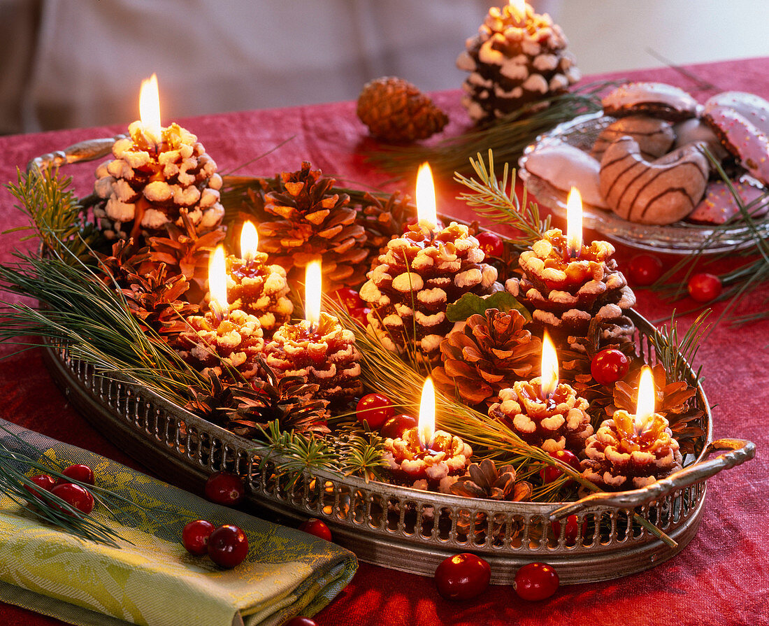 Oval tray with pinus (pine) and cones