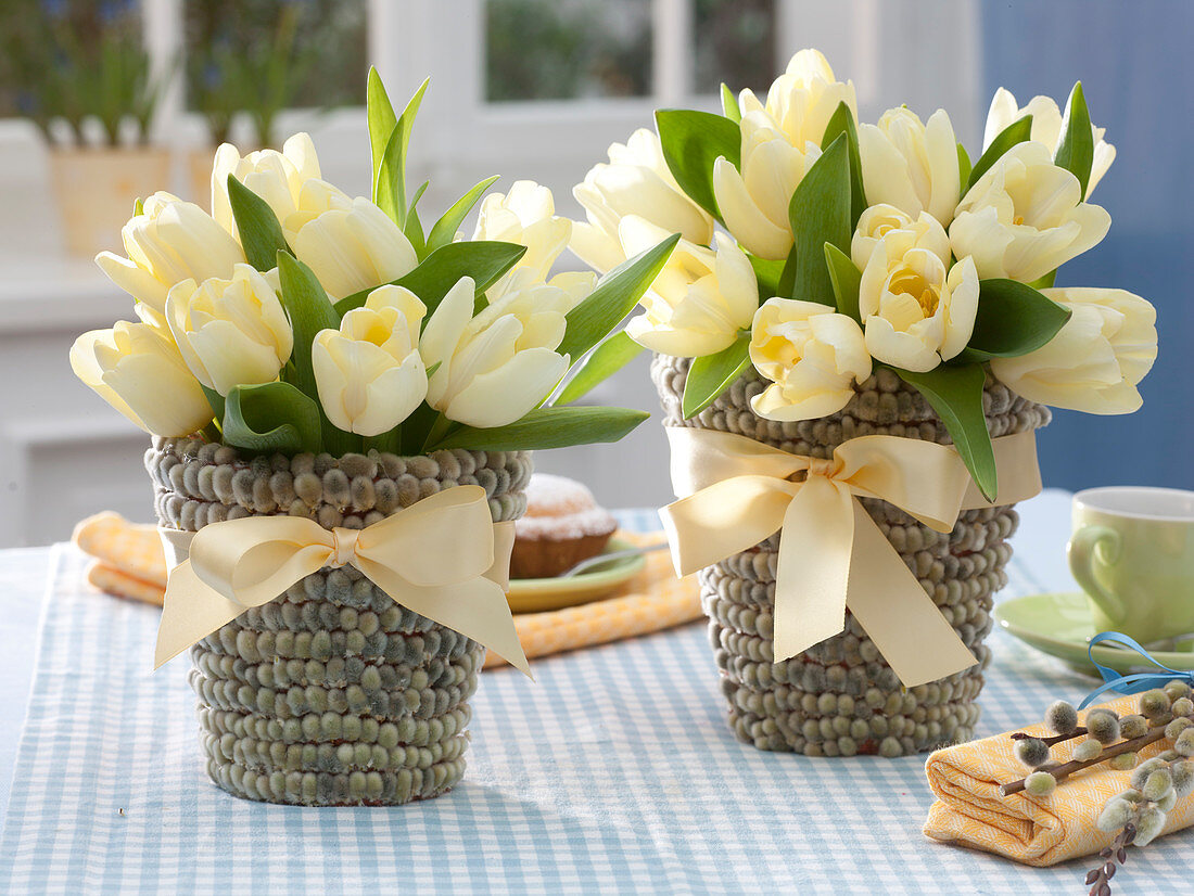 Tulip bouquet in planter with catkins