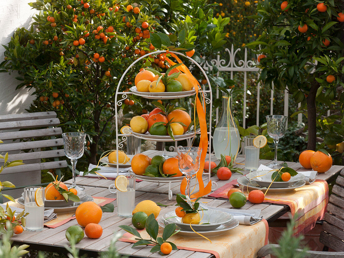 Citrus table decoration