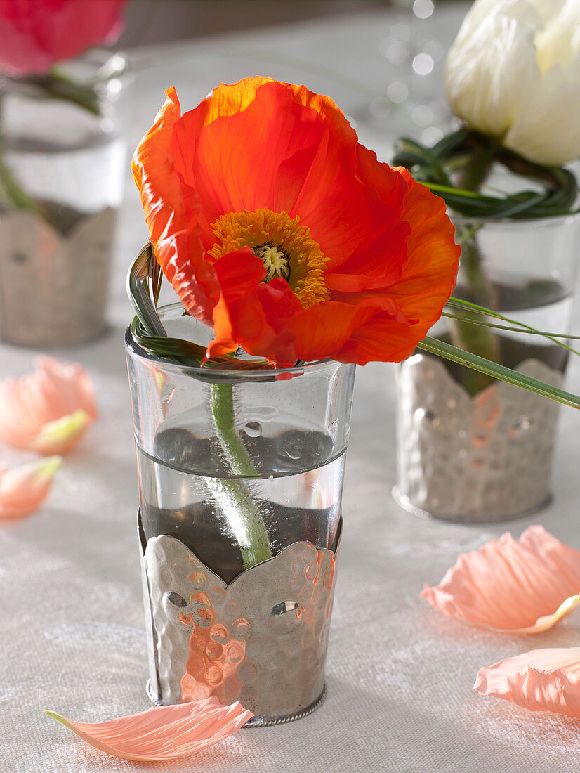 Papaver with small wreath of grass in glass with metal shell