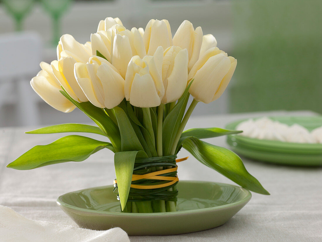 Stehstrauß aus cremeweißen Tulipa (Tulpen) auf grünem Unterteller