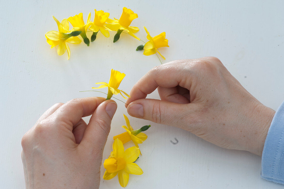 Serviettenringe aus Narzissenblüten : 2/4