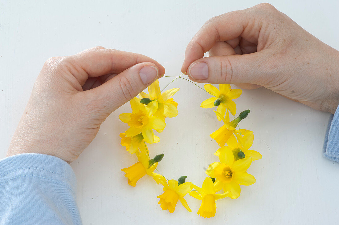 Napkin rings out of narcissus flowers