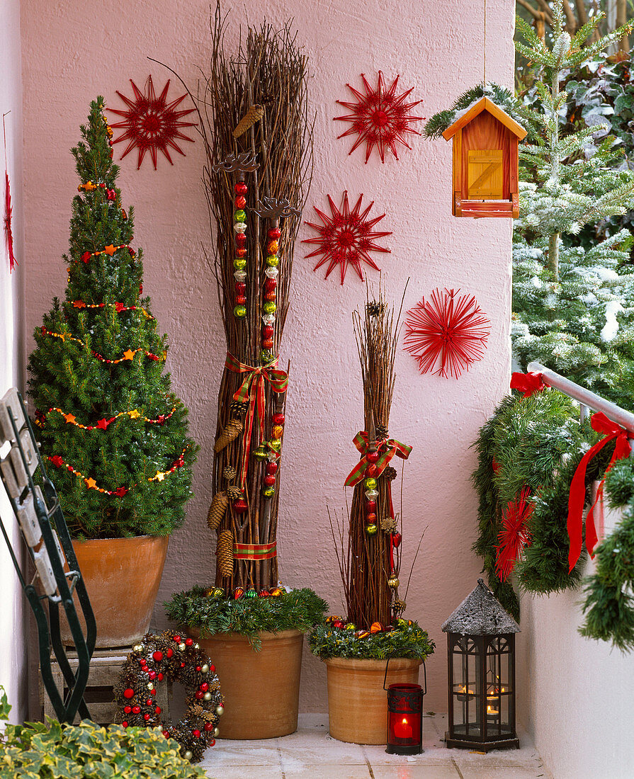 Weihnachtlicher Balkon mit Picea 'Conica' (Zuckerhutfichte)