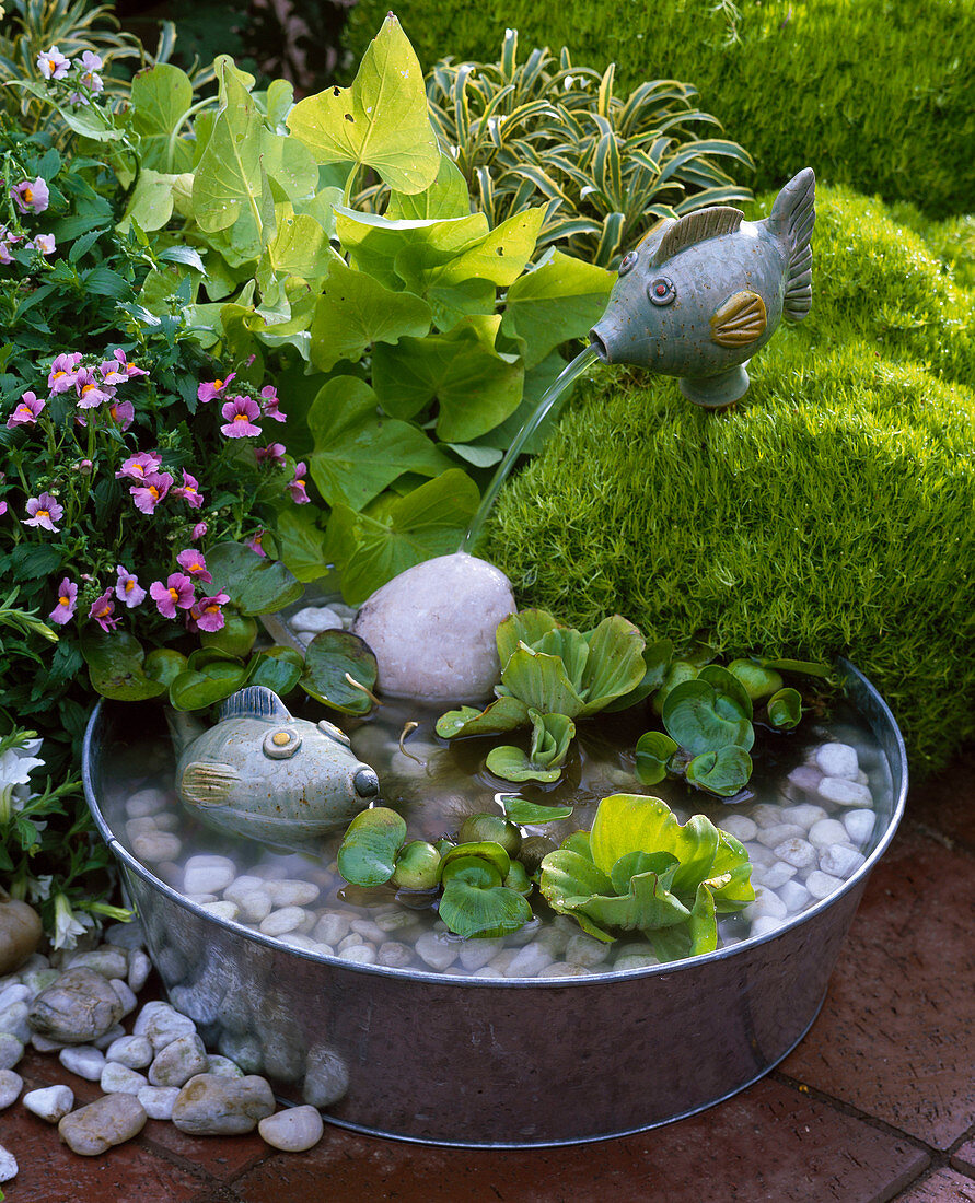 Small water feature, zinc bowl with ceramic fish, gravel