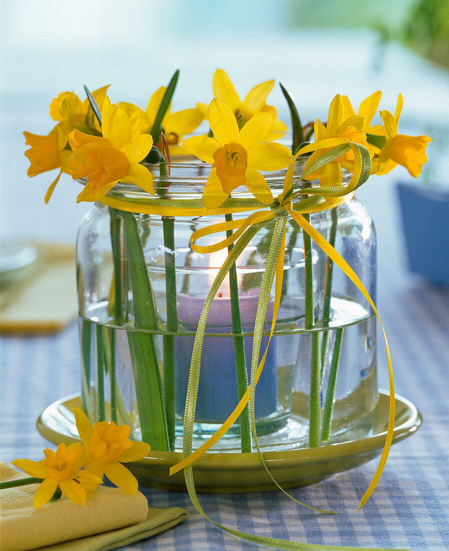 Narcissus wind lantern