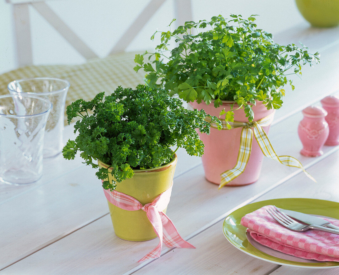 Herbal table decoration