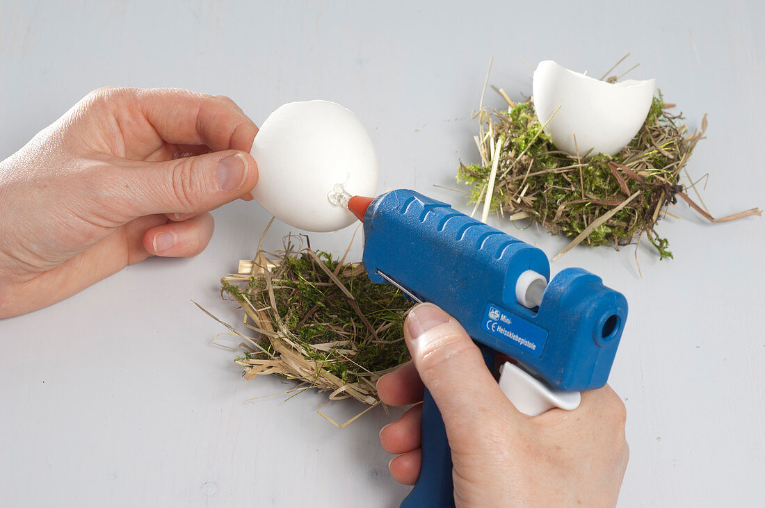 Eggshells as vases on moss