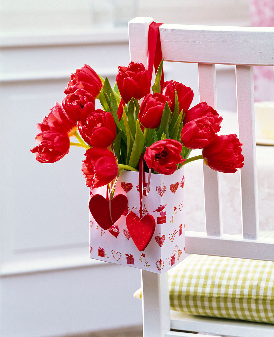 Strauß aus Tulipa (Tulpen) in Tüte mit Herzen an Stuhllehne