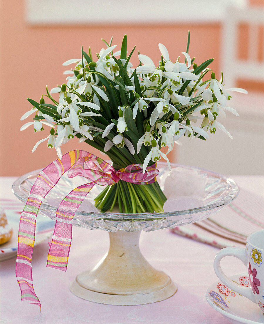 Galanthus bouquet on footed bowl, ribbon