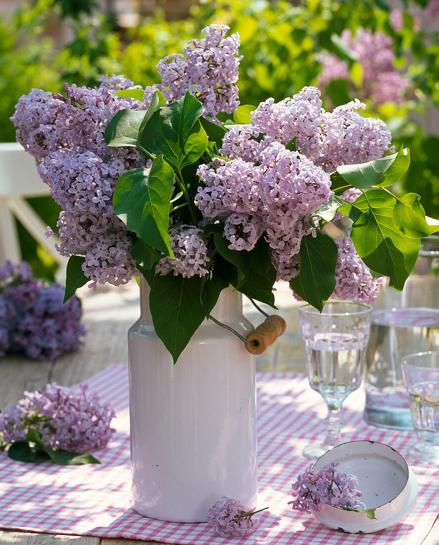 Syringa (lilac) bouquet in milk jug