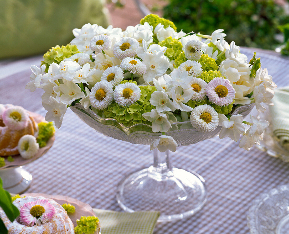 Arrangement of Narcissus, Bellis, Viburnum