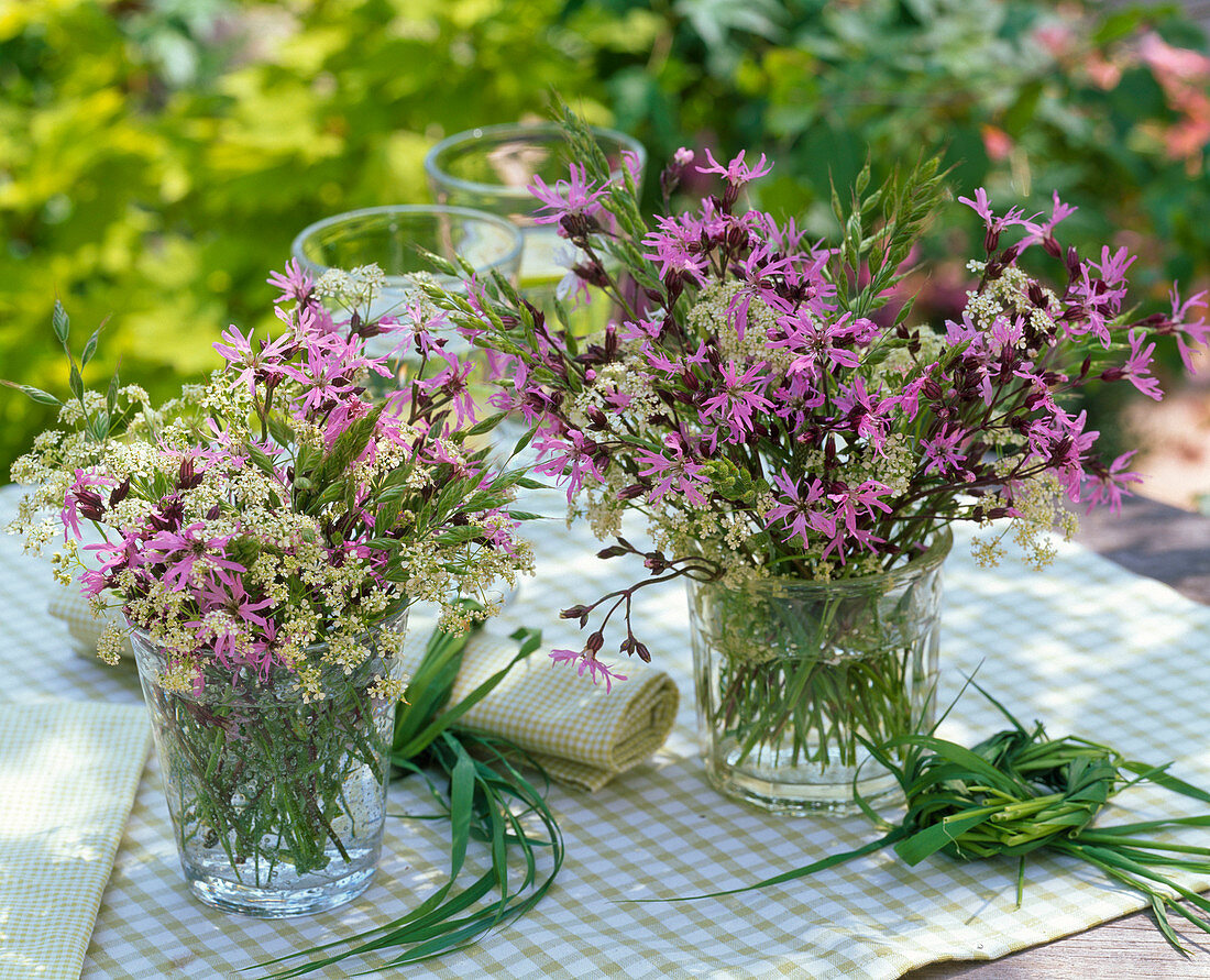 Meadow bouquets from Lychnis, Anthriscus