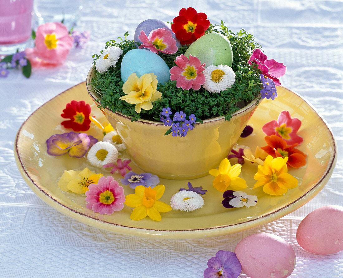 Lepidium Easter basket decorated with Primula flowers