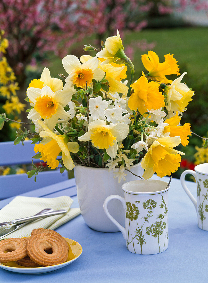 Strauß aus verschiedenen Narcissus (Narzissen), Schale mit Gebäck, Tasse