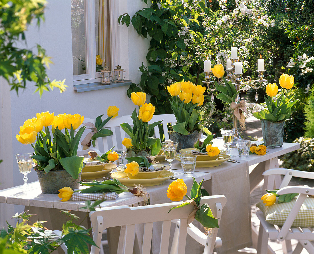 Tischdekoration mit gelben Tulpen