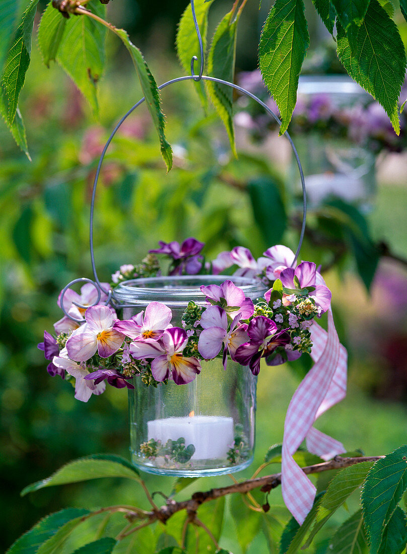 Windlicht mit Kranz aus Viola cornuta (Hornveilchen) und Thymus (Thymian)