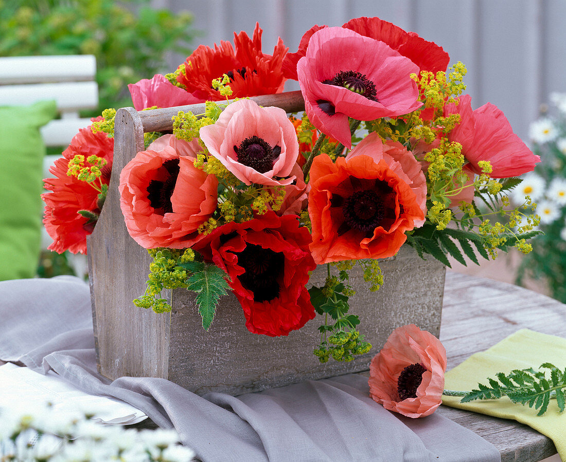 Bouquet of papaver (poppy) and alchemilla (lady's mantle) in basket