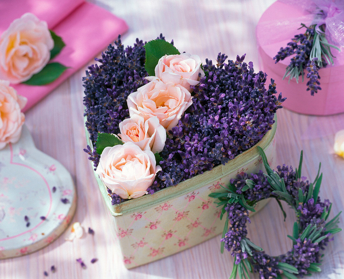 Gesteck aus Rosa (Rosen) und Lavandula (Lavendel) in Dose in Herzform
