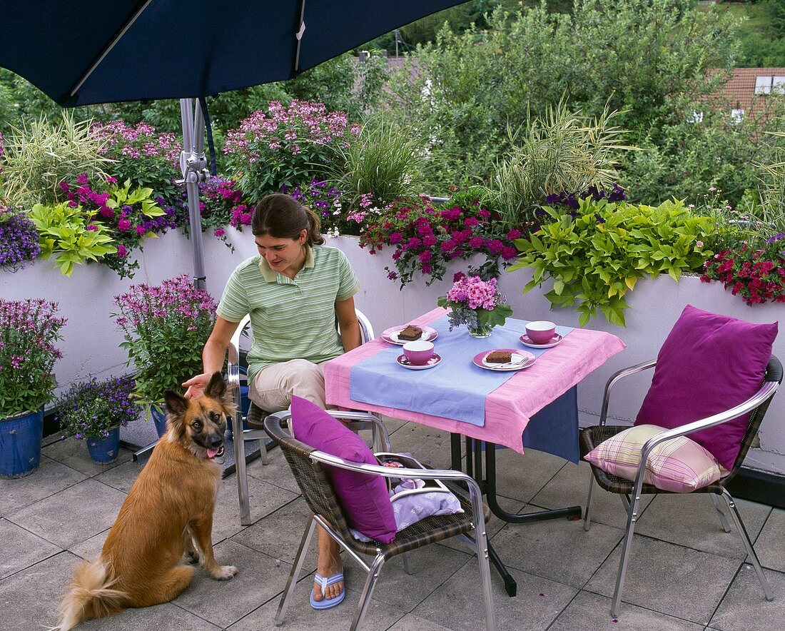 Dachterrasse bepflanzen 6/6