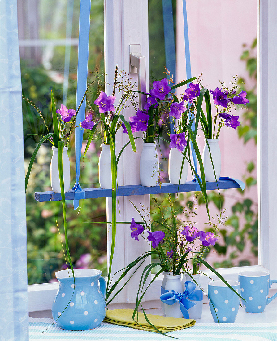 Kleine Sträuße aus Campanula persicifolia (Pfirsichblättrigen Glockenblumen)