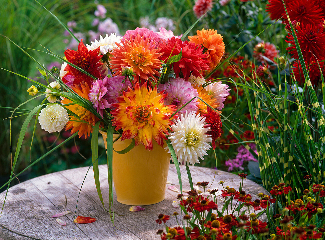 Bouquet of different Dahlia and Miscanthus in pitcher