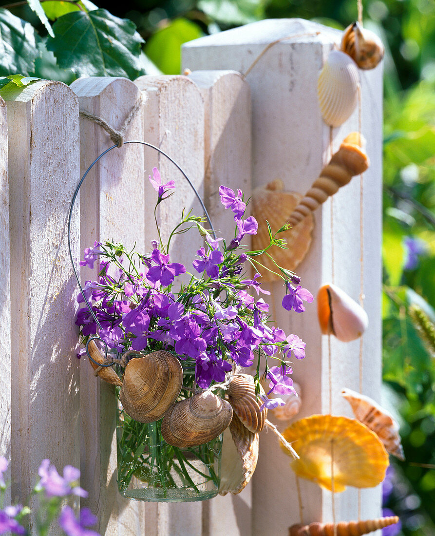 Strauß aus Lobelia (Männertreu) mit Muscheln an Zaun