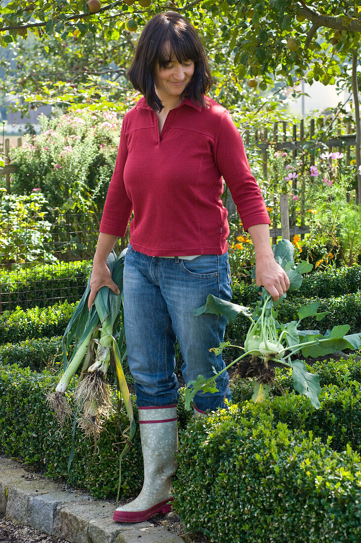 Frau mit frisch geernteten Brassica (Kohlrabi) und Allium porrum (Porree)