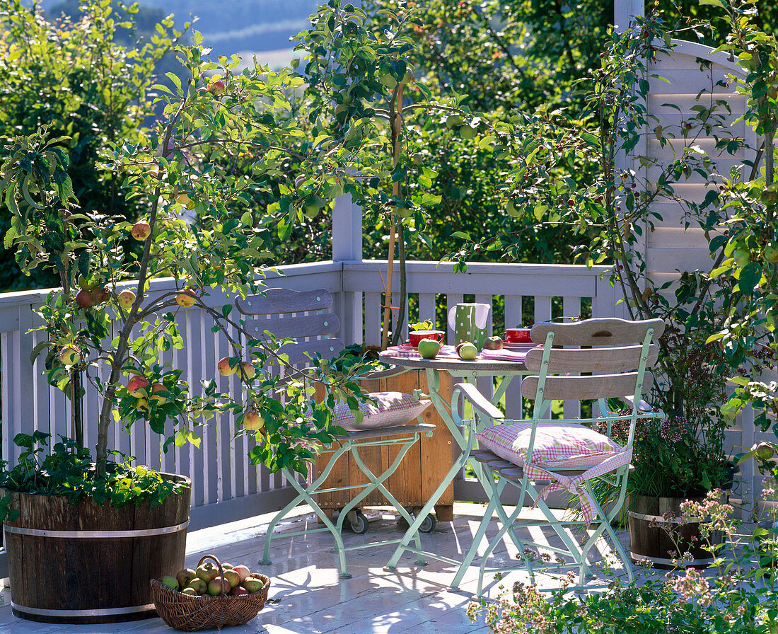 Balcony with Malus, sitting arrangement, basket of apples