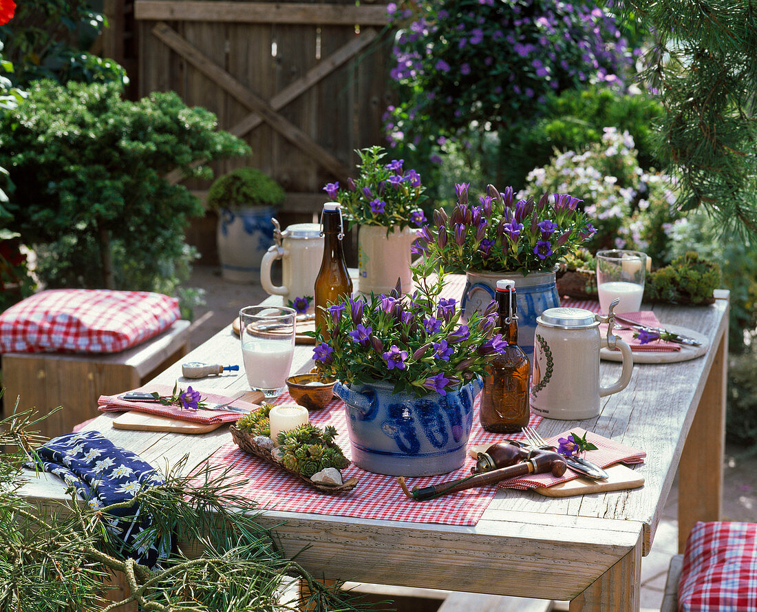 Alpine flair-covered table with Gentiana scabra
