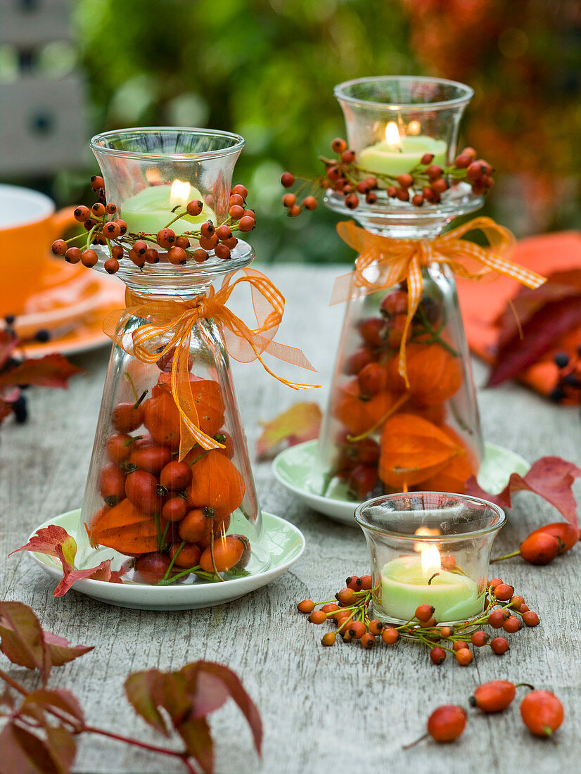 Wind lanterns with Physalis and rosehips