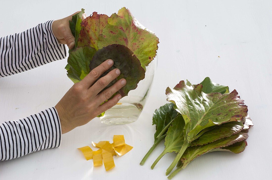 Dahlia bouquet in leaf vase