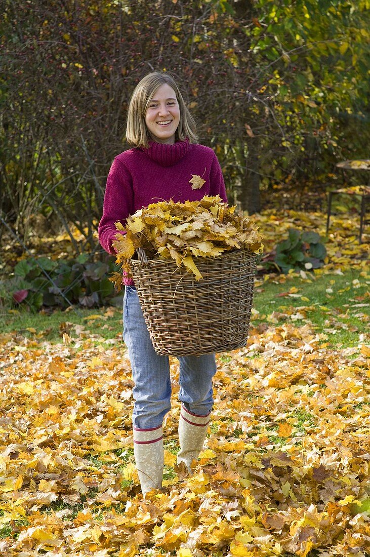 Woman collects leaves in wicker basket