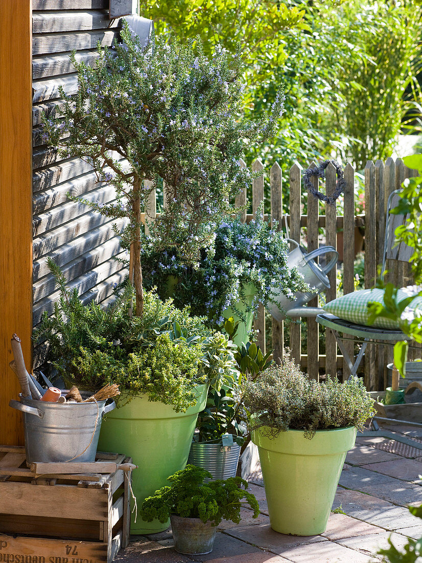 Terrace with herbs