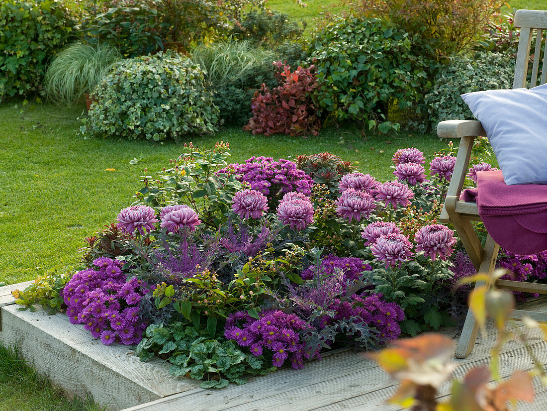 Flower bed with wood trim