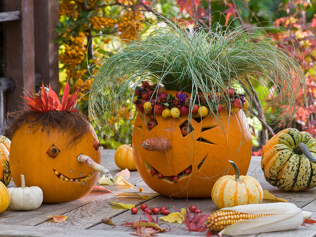 Funny pumpkin heads