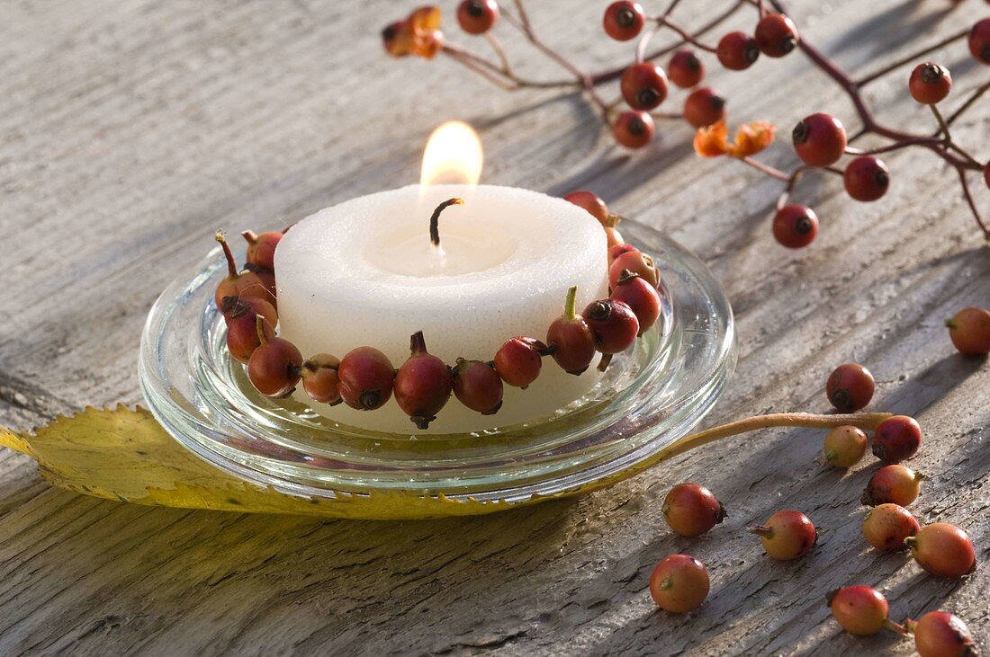 Candle with rosehip wreath