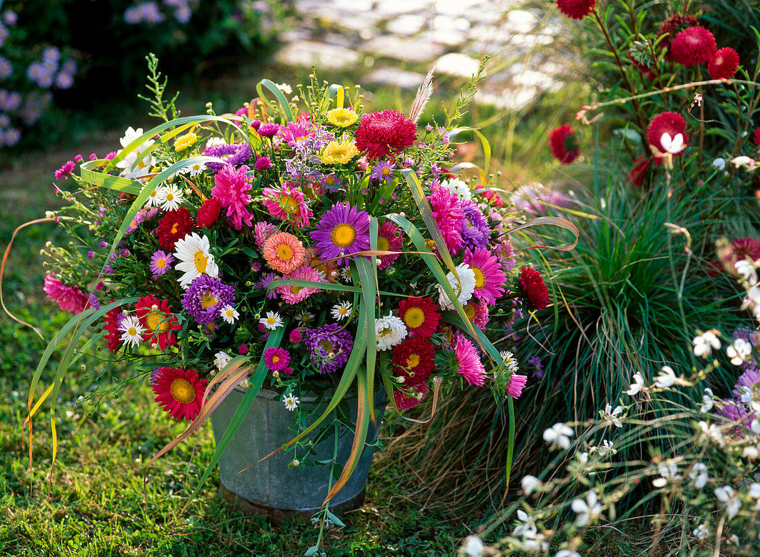 Late summer bouquet made from Callistephus (Sommeraster), Aster