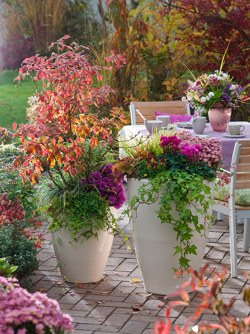 Herbstliche Terrasse mit Sitzgruppe und bepflanzten Kübeln