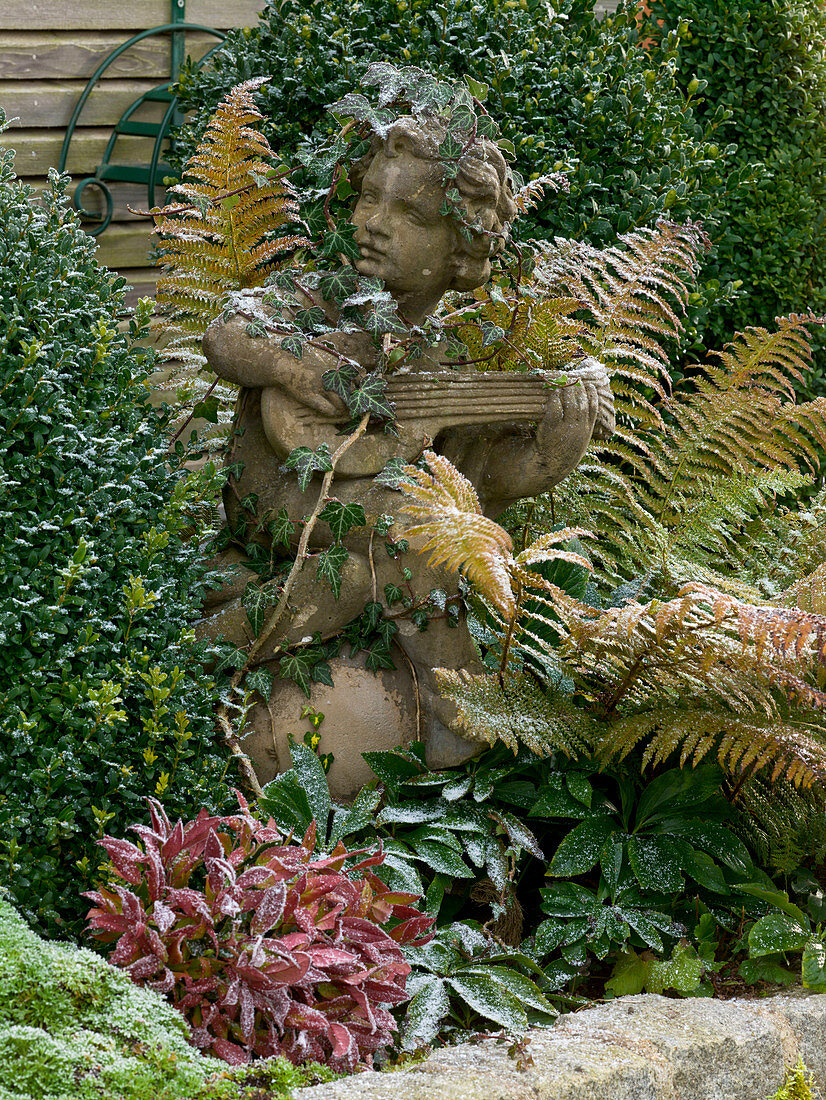 Cherub with lute, overgrown with hedera (ivy)