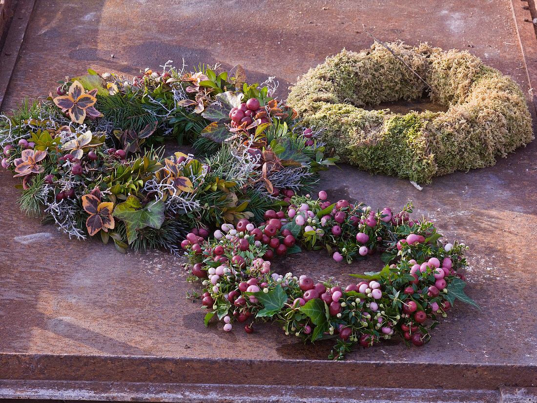 Autumn wreaths made of pernettya (peat myrtle), hedera (ivy)