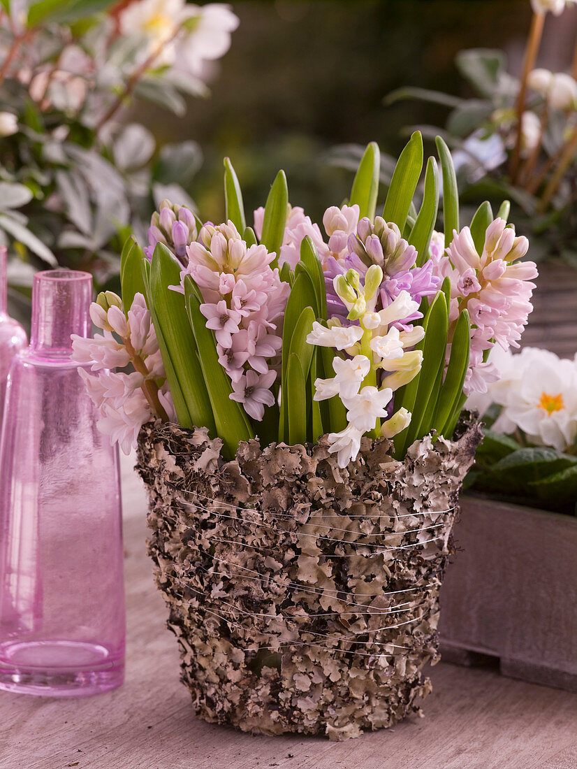 Hyacinthus bouquet in lichen-wrapped vase