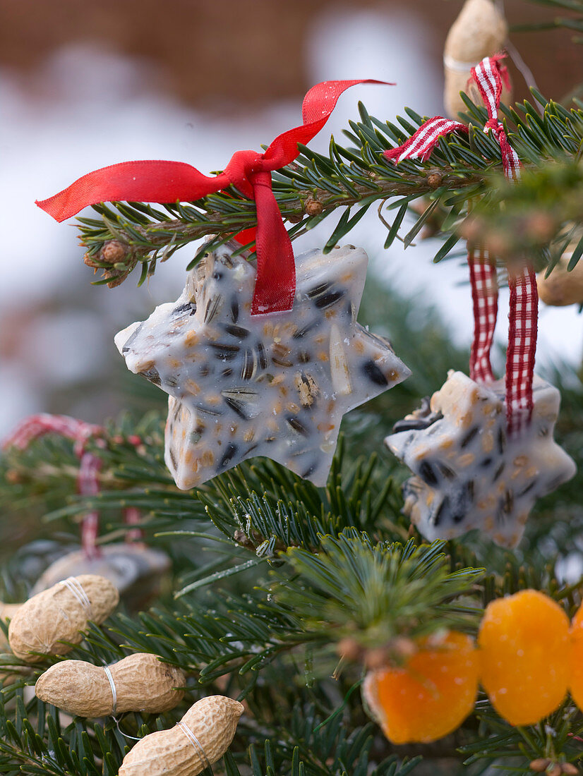 Vogelfutterweihnachtsbaum