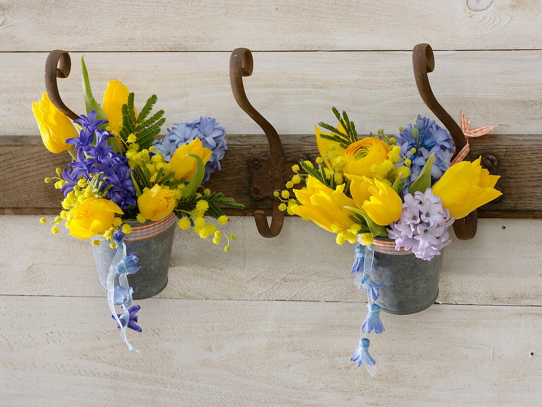 Fragrant blue-yellow bouquets of Tulipa, Hyacinthus