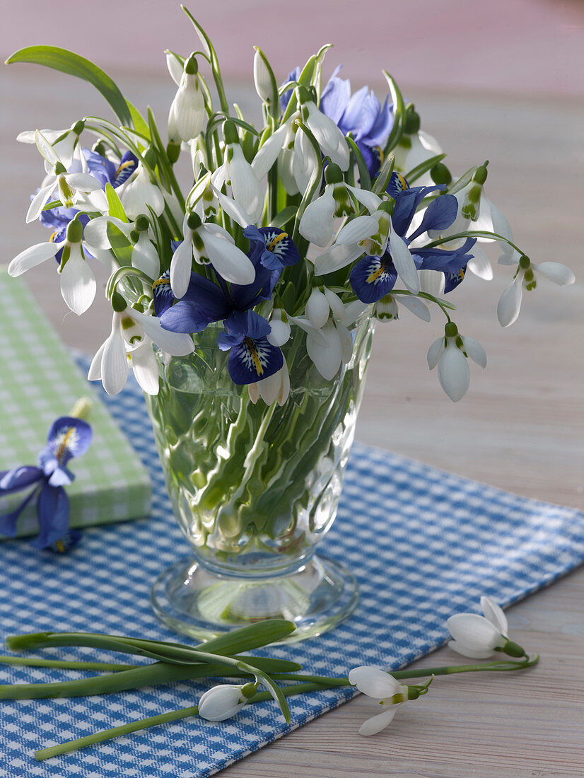 Kleiner Strauß aus Galanthus nivalis (Schneeglöckchen)